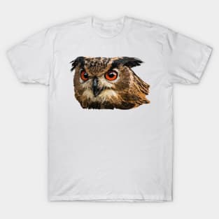 Royal Owl T-Shirt